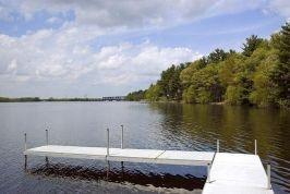 Dakota Forest Pictures