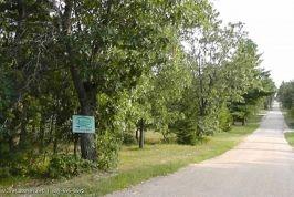 Dellwood Subdivision Pictures