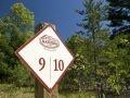 Timber Bay Lots for Sale Timber Bay Lots for Sale